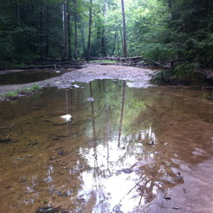 Sheltowee Trace, Red River Gorge